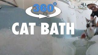 360° CAT BATH