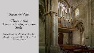 Sietze de Vries - Trio 'Freu dich sehr, o meine Seele' - Metzler organ, Poblet, Hauptwerk