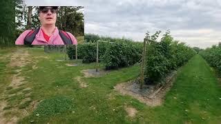 Pick Your Own Strawberries and Strawberries, Exploring the Geography.