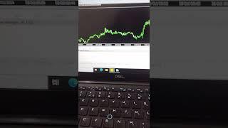 Unbelievable Profit With Oavaea #trading #forex #forexrobotexpertadvisor