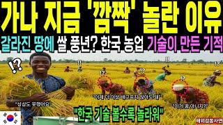 세계가 극찬한 한국 농업 기술｜가나 땅이 풍년이 된 이유[해외감동사연]