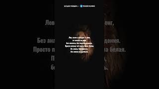 Хочешь стать трейдером? Учись как профи: 5 шагов, о которых молчат 90% новичков»  #трейдингобучение