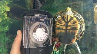 Automatic Light Timer Set Up For Mr Turtle!s Turtle Tank!  A quick review and update!