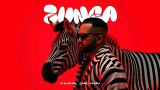 M.Hustler, Color Zebra - Zunga (Extended Mix)