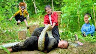 Brave ethnic girl rescues Dwarf Family primitive attacked by giant python while harvesting cassava