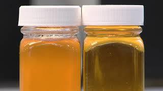 Filtering Maple Syrup