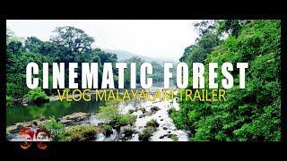 Cinematic Forest Vlog Malayalam Trailer| Athirapally to Malakkappara |by FJ vloggers