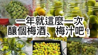 一年才一個月季節性的梅子，當然要來釀多點梅酒、梅汁！來看看做法和比例吧！