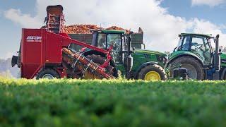 Top lifter for carrot harvesting | ASA-LIFT Combi-1010E | Walk around