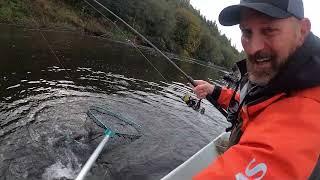 SMASHING Coho Salmon on Wicked Lures in Grays Harbor **How to Fish In-Line Spinners**