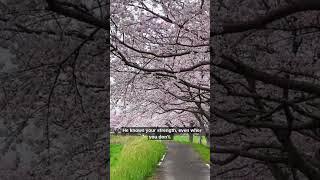 A Reminder Wrapped in 30 Seconds – Surah Al-Baqarah!  #shorts #deeninsights #motivation