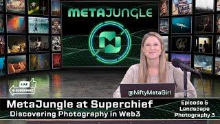 Welcome to the NFT Jungle | MetaJungle at SuperChief: Discovering Photography in Web3 - Landscape 3