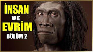 İnsanlık Hikayesinin Parçaları: Homo gautengensis Fosilleri Belgeseli | Bölüm 2