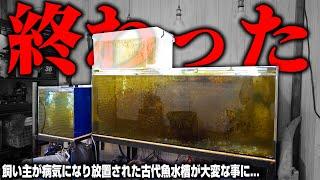 【崩壊】飼い主が病気になって古代魚水槽が大変なことになってしまいました…