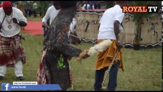 2016 New Yam Festival in Mbaise, Imo state #yamfestival #africanculture #nigerianculture