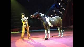 Yakubovskie.ru Comic Cowboy Horse Moscow Circus, Цирковой номер Комический Ковбой Якубовские