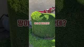 5억 시골땅 증여했는데 아들의 소름끼치는 행동