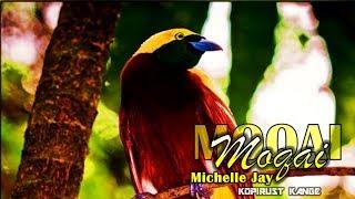 Michelle Jay - Moqai