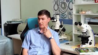 Защита полей от нематод. Книга бесплатно