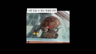 나만의 특별한 GIF