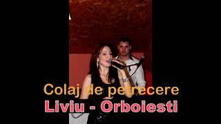 Melodii de petrecere de ascultat la gratar-Cristina si Liviu de la Orboiesti melodii de spritz