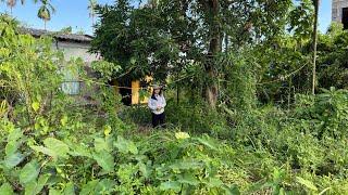 Help woman clean up a creepy abandoned house and the mysterious story behind it is told again