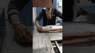 How To Make Frozen Salmon Fish Machine Cutting Skills#shorts