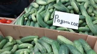 Молдова.Цены на центральном рынке в Кишинёве.15.08.23.
