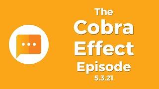 The Cobra Effect Episode | The Real Investment Show [Full Show: 5/2/21]