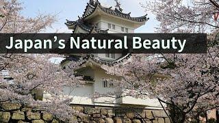 Japan's Natural Beauty