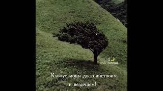 Пророк Муса мир ему и благословение Аллаха спросил у Аллаха