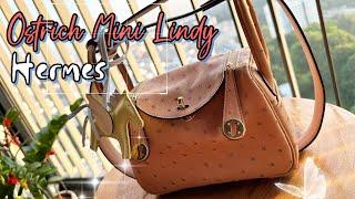 Quick Unboxing Hermes Mini Lindy - Ostrich Leather #hermes #爱马仕 #luxury