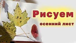 Рисуем осенний лист акварелью. Уроки рисования для начинающих.