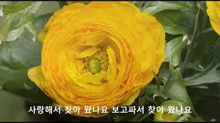 가수윤주 - 바람이 되어 연속 5회 듣기