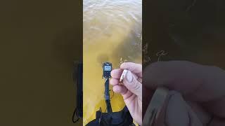 Всегда бы так #подводныйкоп #находка #золото #кольцо #море