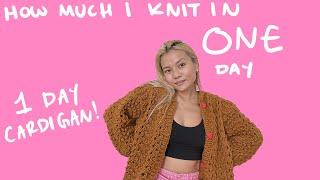 how much I knit in 1 day | knitting an entire cardigan in 1 day | knitting vlog ep. 19