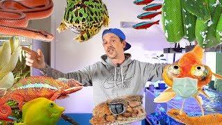 CONFINÉ AVEC PLUS DE 50 ANIMAUX ! - TOOPET