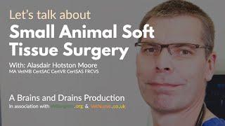 Let's Talk About Small Animal Surgery, with Alasdair Hotston Moore