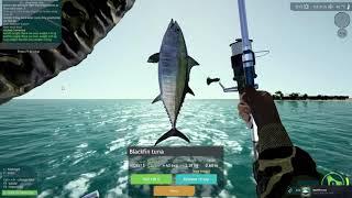 How to catch Blackfin Tuna - Florida DLC (2023) Ultimate Fishing Simulator