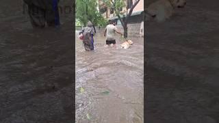 Michaung-ல் சிக்கிய சோட்டு... #funnyvideos #trending #pets #cyclone #michaung #puyal #chennai #love