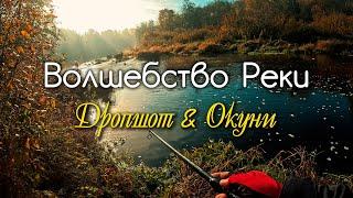 Первый морозец и ОКУНИ. Рыбалка на берегах реки Тосна #дропшот #микроджиг #рыбалка #окунь #fishing