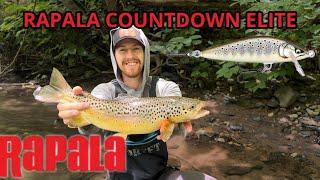 Jerkbait fishing for AGGRESSIVE WILD TROUT! Rapala countdown elite