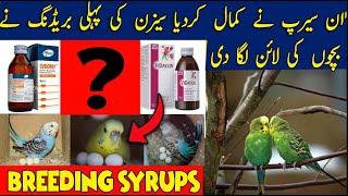 Best vitamins,Minerals and Calcium Syrup I love birds breeding calcium