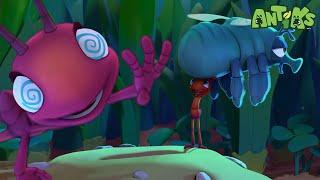 Zapping Los Insectos | Caricaturas | Antiks | Videos Graciosos Para Niños | Oddbods