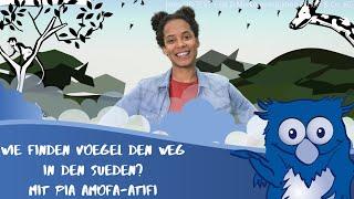 Wie finden Vögel ihren Weg in den Süden? Mit der Kika-Moderatorin Pia Amofa-Antwi