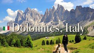 My DOG travels to DOLOMITES, World heritage Italian ALPS l Luxury Forestis Dolomiti l Milan