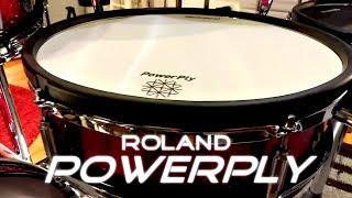 MESH HEAD COMPARISON (ALESIS vs ROLAND)