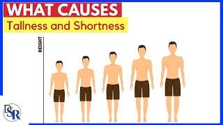  What Causes Tallness and Shortness