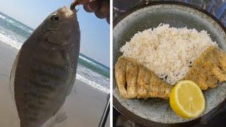 Surf Fishing For Barred Surf Perch!!! {Catch, Clean, Cook} |SoCal Fishing|