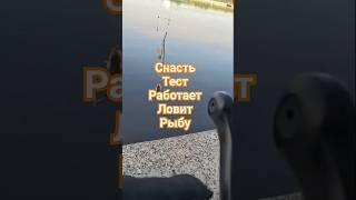 #рыбалка #2025 #клюет #ёрш #тестируем #окунь #fishing #fish #